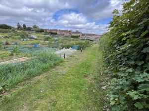 Photo 7- click for photo gallery